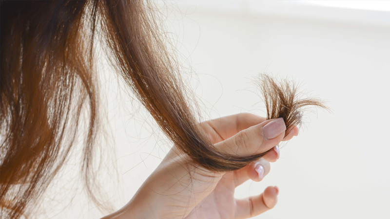 طرق علاج الشعر الجاف