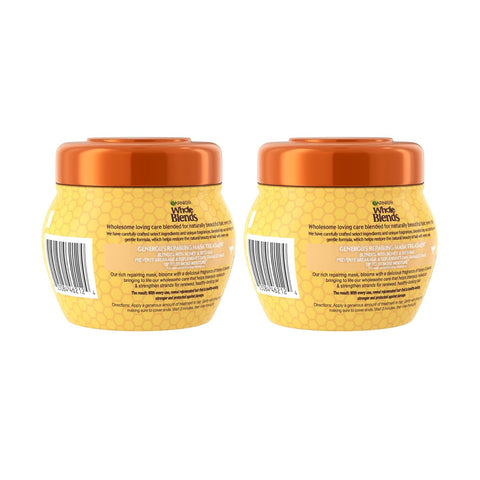 Garnier Whole Blends Honey Treasures Repairing Mask, for Dry, Damaged Hair, 10.1 Fl Oz, 2 Count (Packaging May Vary)